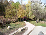P1140538