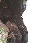 IMG_20181112_133532