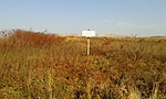 20181104_140204
