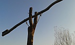 20181104_140130