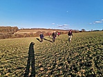 IMG_20181117_143211