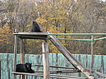 DSCN1914
