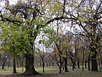 IMG_6686