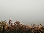 IMG_20181124_141219