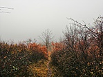 IMG_20181124_141625