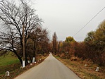IMG_20181125_135339