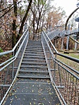 IMG_20181125_141013