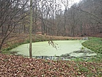 20181115_131843