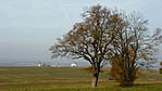 P1300276