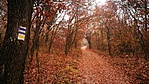 IMG_20181110_124335
