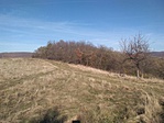 IMG_20181031_125059