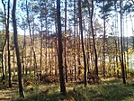 IMG_20181031_141815