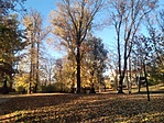IMG_20181031_150717
