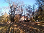 IMG_20181031_150722