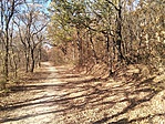 IMG_20181114_132131