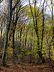 IMG_2586