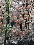 IMG_20181111_112712