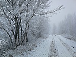 IMG_20181219_114911