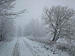 IMG_20181219_114914