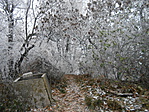 DSCN5742
