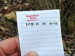 log