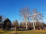 2018-12-31 09.07.39R