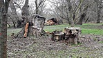 3462. Kisoroszi szigetcsúcs (GCUTAK) (5)