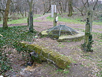 A forrás