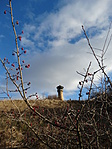 DSC02222
