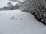 IMG_5982