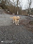 IMG_20181227_102554