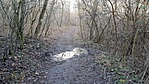 20181231_132938