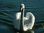 DSCN79296