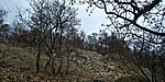 20181227_121837_HDR