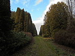 DSC00895