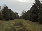 DSC00904