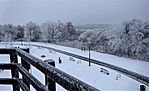 gctfrd-DSC08736
