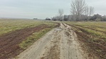 IMG_20181207_081450
