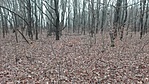 IMG_20181207_080314