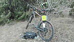 IMG_20181208_084508