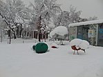 DSC00529