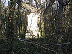 P1020456