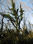 P1020459