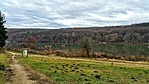Deseda arborétum