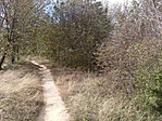DSC00467