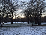 IMG_8439