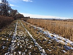 IMG_8990