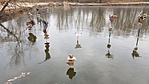 20190104_095031