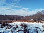 IMG_20190124_113426