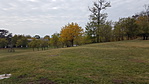 20181022_152455_resize_2